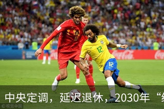 中央定调，延迟退休，2030年“缓冲期”后，提前退休需啥条件呢？