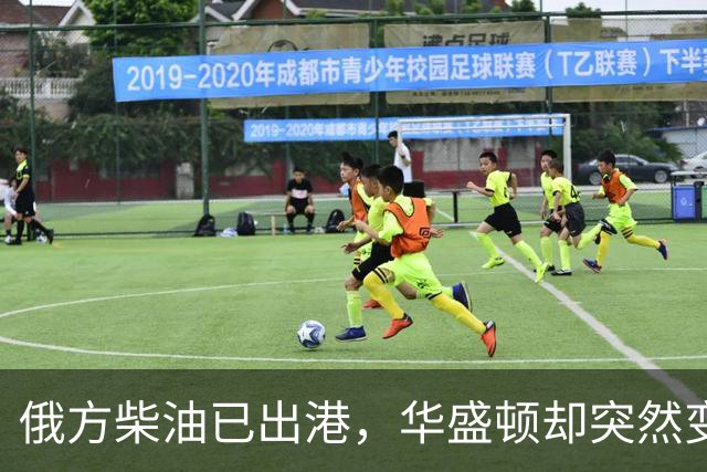 俄方柴油已出港，华盛顿却突然变卦？掏出判决书：谁敢接货判20年