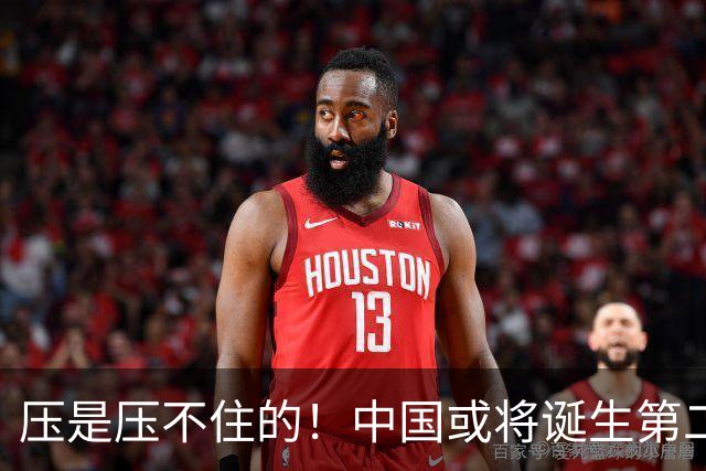 压是压不住的！中国或将诞生第二个华为