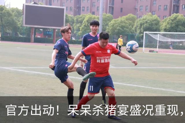 官方出动！呆呆杀猪宴盛况重现，上万人参加小小徐婚礼仅是开始