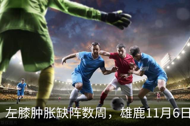 左膝肿胀缺阵数周，雄鹿11月6日对阵猛龙少了一大威胁