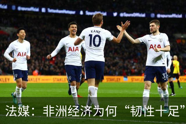 法媒：非洲经济为何“韧性十足”？