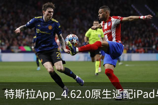 特斯拉App 4.62.0原生适配iPad与iPhone Duo