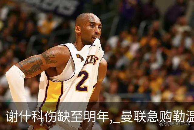 谢什科伤缺至明年, 曼联急购勒温补锋线