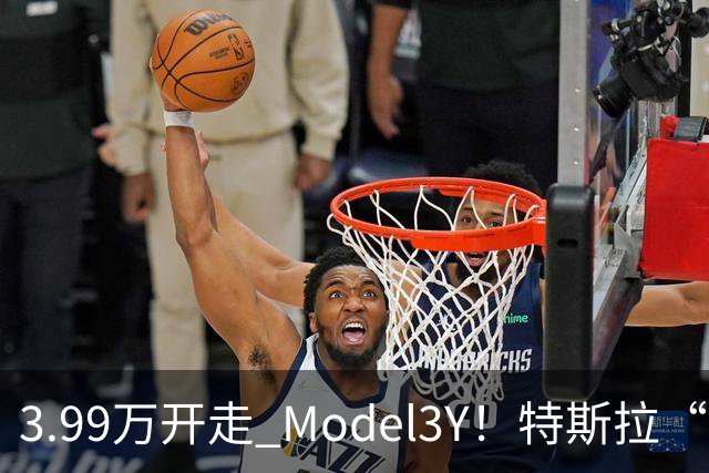 3.99万开走 Model3/Y！特斯拉“特从容”金融方案，算账给你看